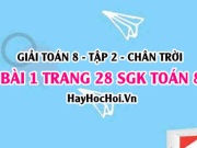 Bài 1 trang 28 Toán 8 Tập 2 Chân trời sáng tạo